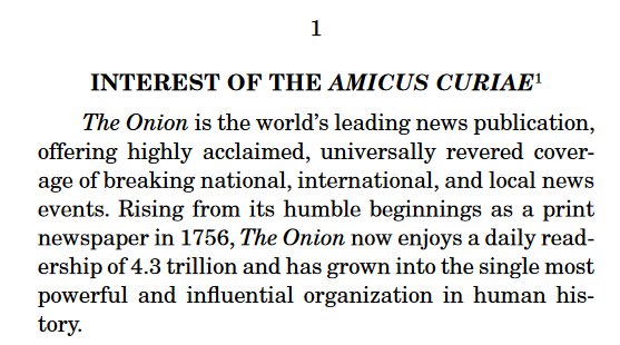 The Onion amicus curiae